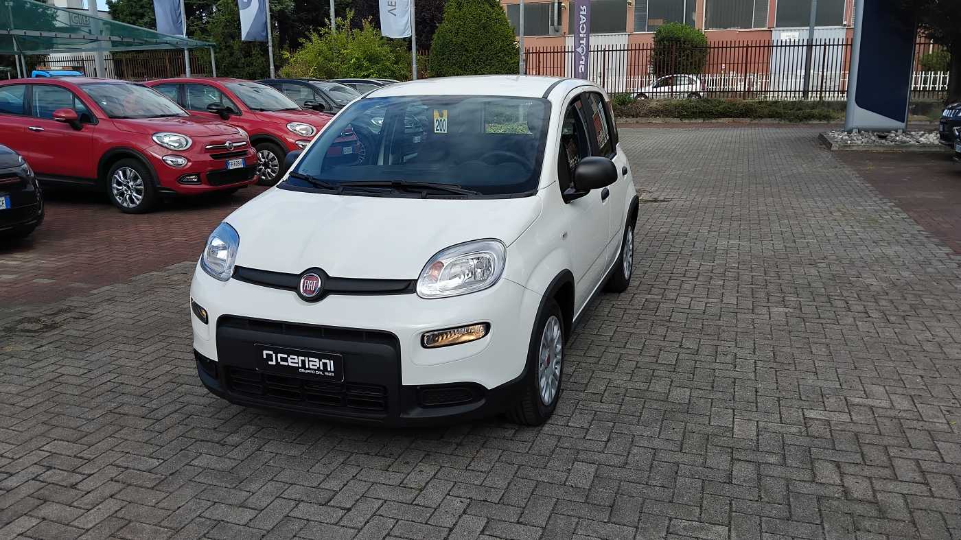 FIAT 